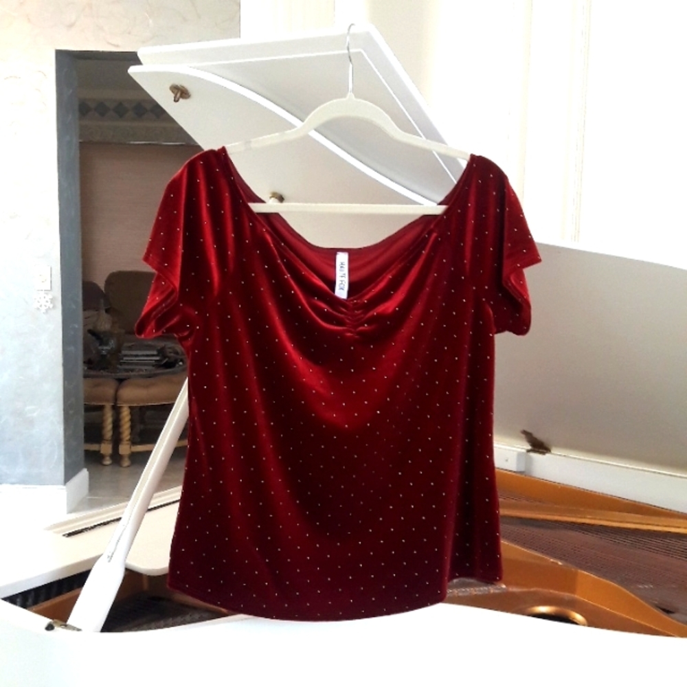 Haute Fox red velvet top 1x